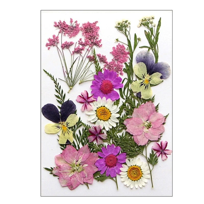 16/18/19/22Pcs Natural Pressed Dried Flower For Epoxy Resin Natural Dry Flowers