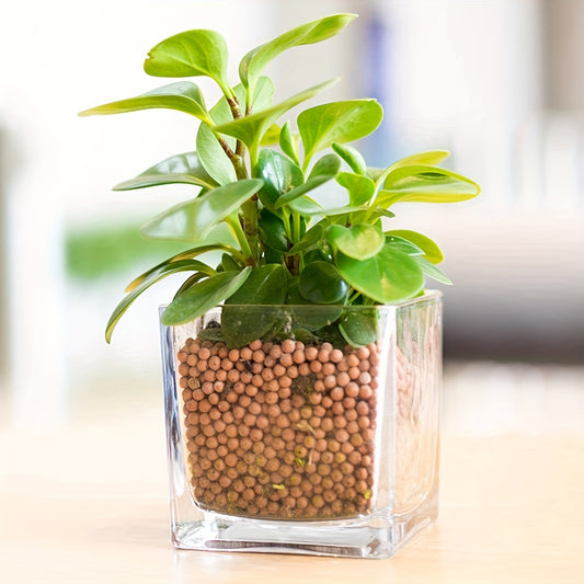 Natural Small Colored Stone, Aquarium Decoration Stone, Mix Horticultural Lava Rock Pebbles Pumice Potting Succulent Cactus Bonsai Gritty Rock Decorative Gravel Volcanic Rock For DIY Gardening Projects 0.22lb