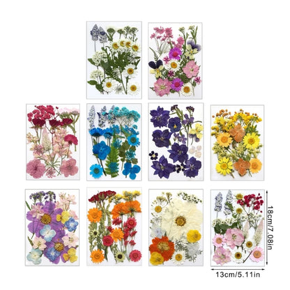16/18/19/22Pcs Natural Pressed Dried Flower For Epoxy Resin Natural Dry Flowers