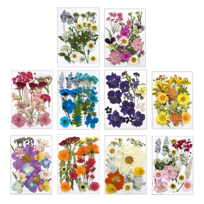16/18/19/22Pcs Natural Pressed Dried Flower For Epoxy Resin Natural Dry Flowers
