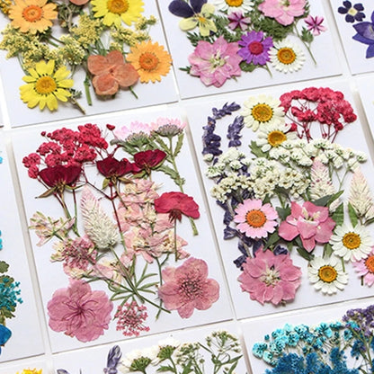 16/18/19/22Pcs Natural Pressed Dried Flower For Epoxy Resin Natural Dry Flowers