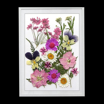 16/18/19/22Pcs Natural Pressed Dried Flower For Epoxy Resin Natural Dry Flowers