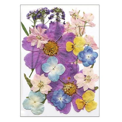 16/18/19/22Pcs Natural Pressed Dried Flower For Epoxy Resin Natural Dry Flowers