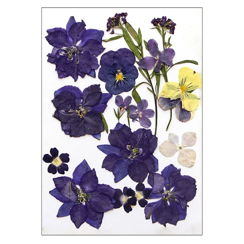 16/18/19/22Pcs Natural Pressed Dried Flower For Epoxy Resin Natural Dry Flowers