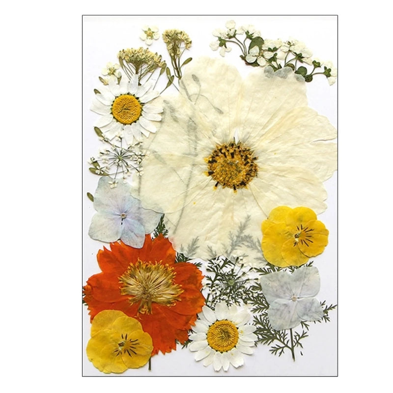 16/18/19/22Pcs Natural Pressed Dried Flower For Epoxy Resin Natural Dry Flowers