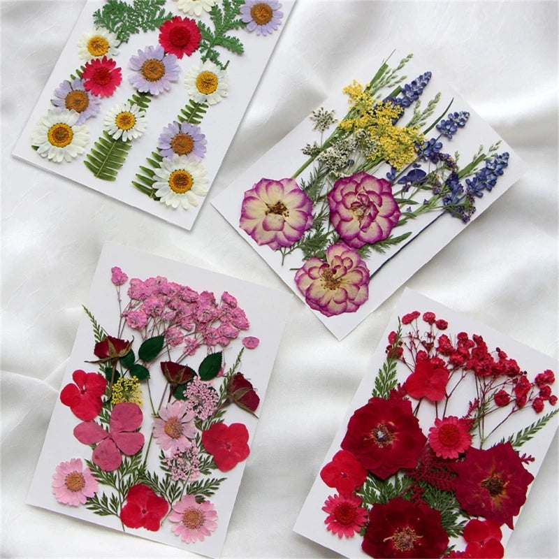 16/18/19/22Pcs Natural Pressed Dried Flower For Epoxy Resin Natural Dry Flowers