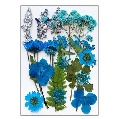 16/18/19/22Pcs Natural Pressed Dried Flower For Epoxy Resin Natural Dry Flowers