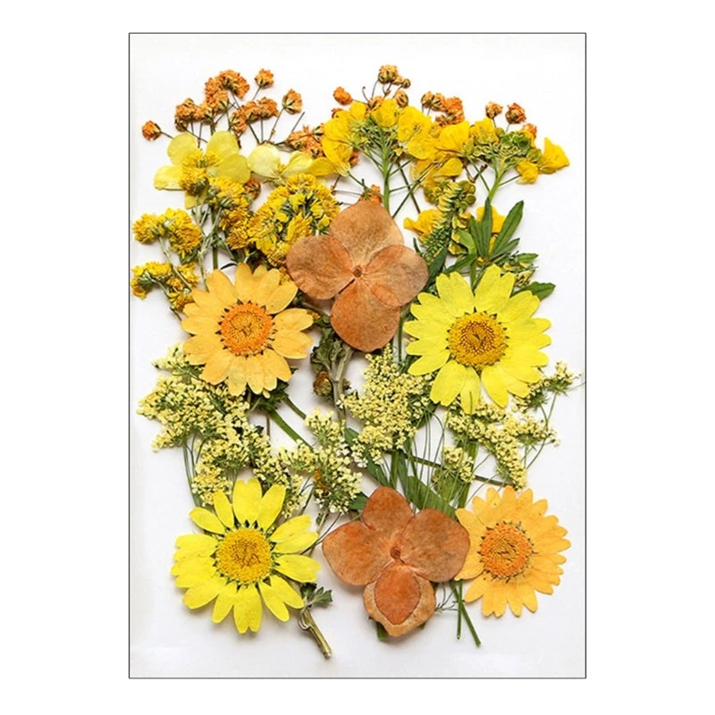 16/18/19/22Pcs Natural Pressed Dried Flower For Epoxy Resin Natural Dry Flowers