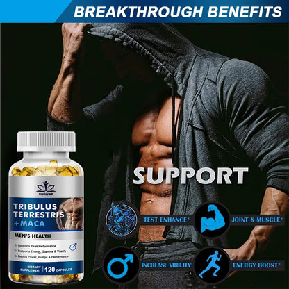 Natural plant extract Terrestris ginseng maca - a natural level supplement for men and women