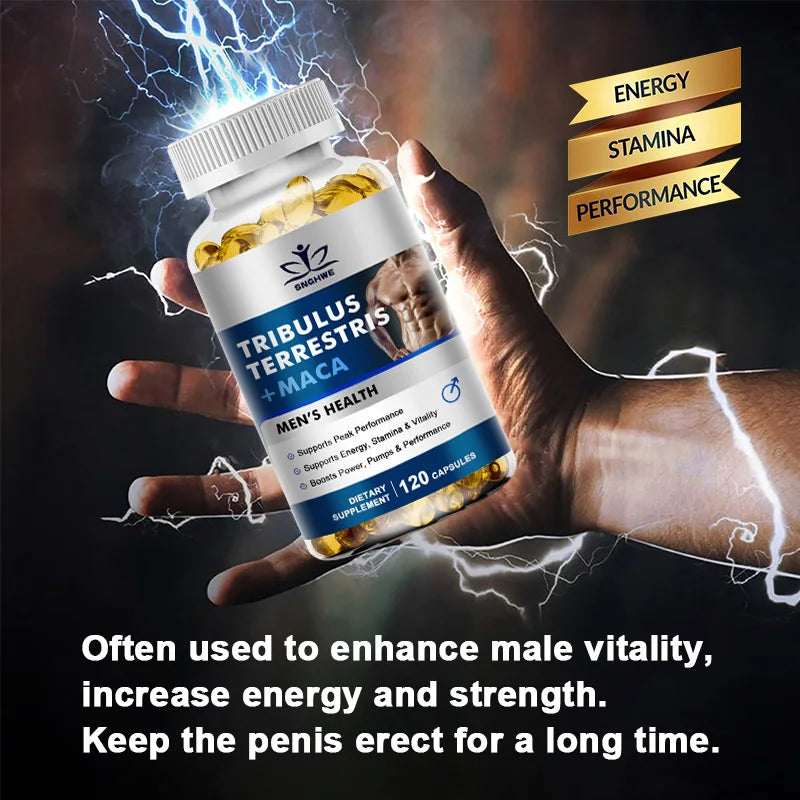 Natural plant extract Terrestris ginseng maca - a natural level supplement for men and women