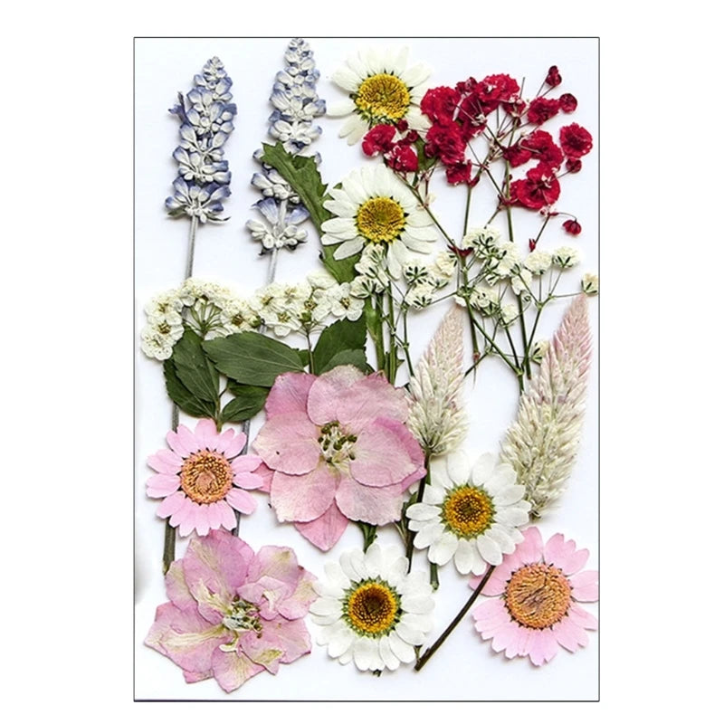 16/18/19/22Pcs Natural Pressed Dried Flower For Epoxy Resin Natural Dry Flowers