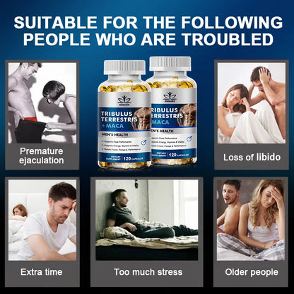 Natural plant extract Terrestris ginseng maca - a natural level supplement for men and women