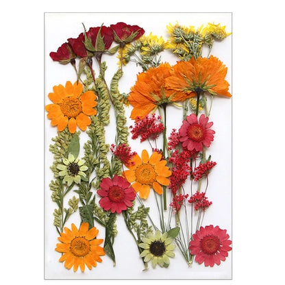 16/18/19/22Pcs Natural Pressed Dried Flower For Epoxy Resin Natural Dry Flowers