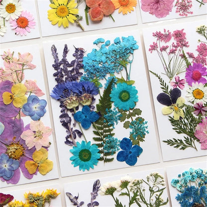 16/18/19/22Pcs Natural Pressed Dried Flower For Epoxy Resin Natural Dry Flowers