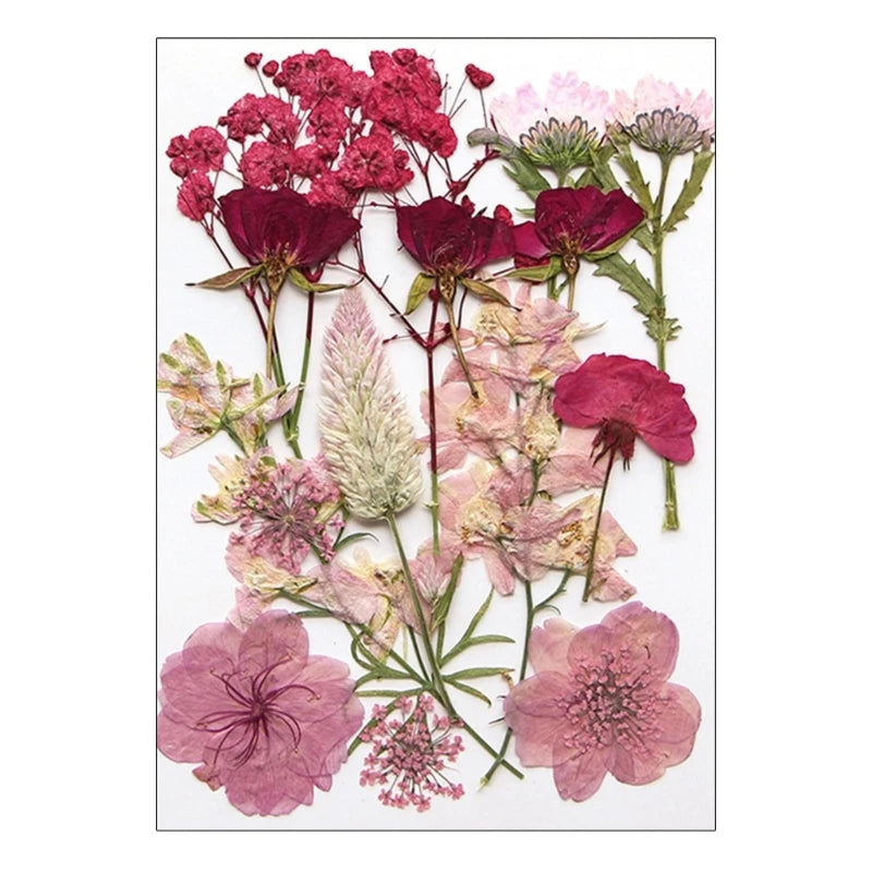 16/18/19/22Pcs Natural Pressed Dried Flower For Epoxy Resin Natural Dry Flowers